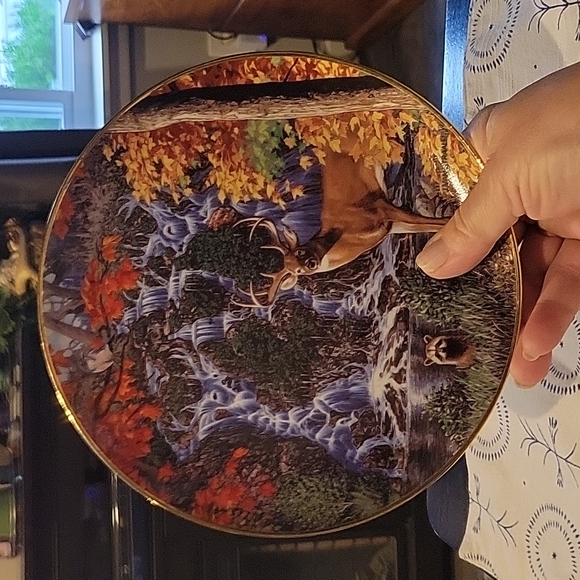 Collectors Plate,Stag Falls,Autumn Scene,NEW,Deer - Picture 3 of 4